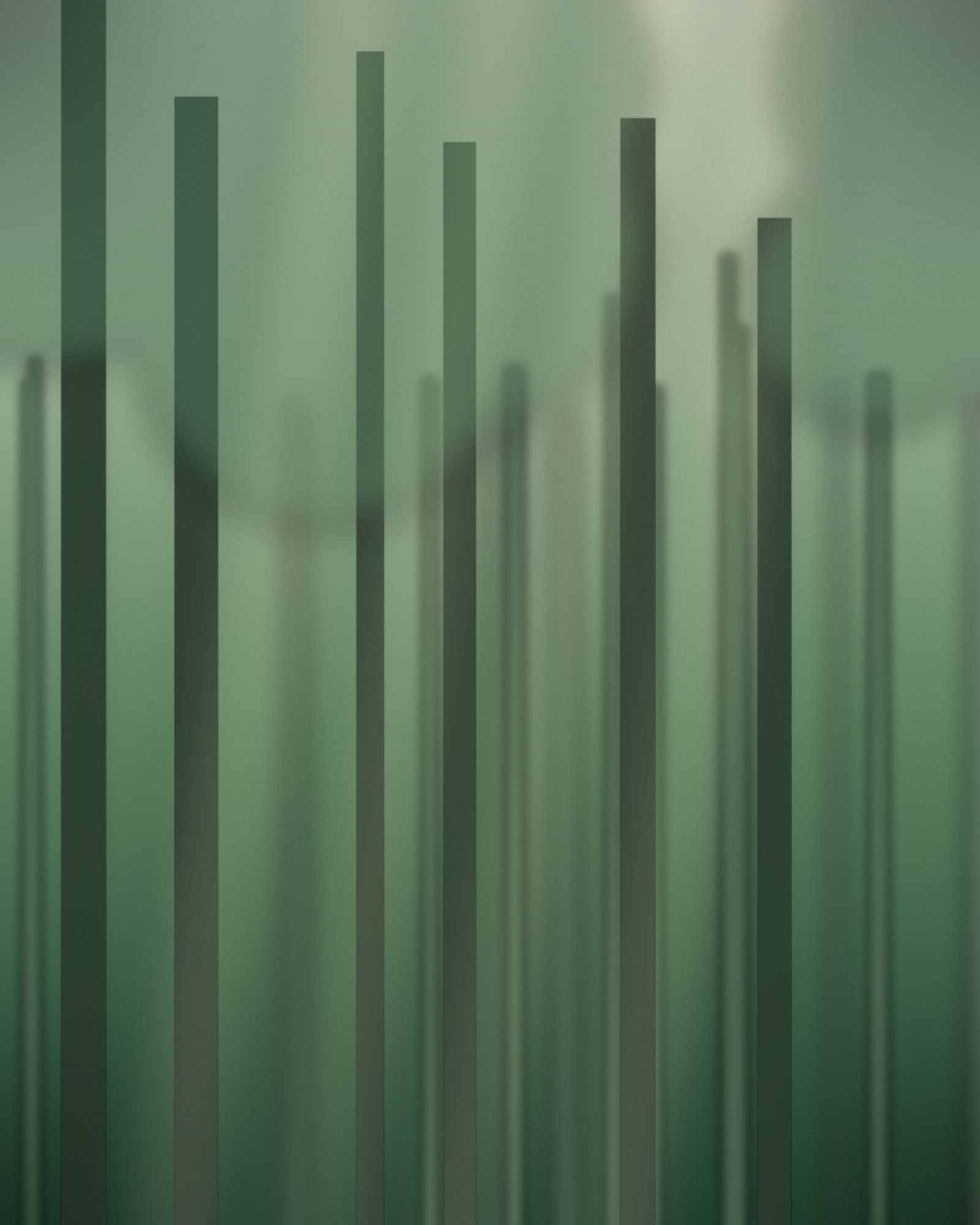 Bosque nativo recuperado con neblina entre los árboles.